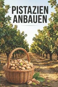 Pistazien anbauen