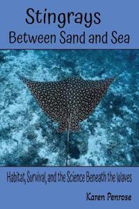 Stingrays, Between Sand and Sea