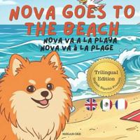 Nova Goes To The Beach