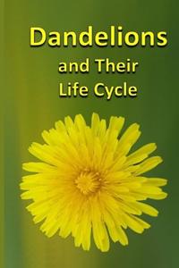 Dandelions and Their Life Cycle