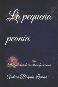 La pequeña peonía