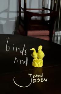 birds And