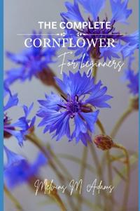 How to grow Cornflower for beginners
