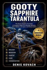 Gooty Sapphire Tarantula
