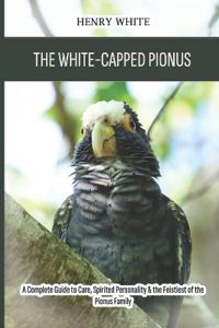 The White-Capped Pionus