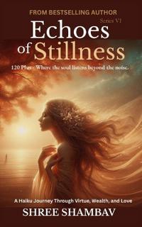 Echoes of Stillness