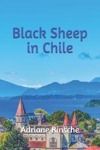 Black Sheep in CHile