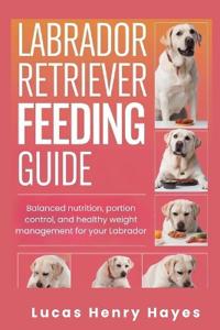 Labrador Retriever Feeding Guide