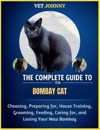 The Complete Guide to Bombay Cat