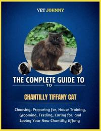 The Complete Guide to Chantilly Tiffany Cat