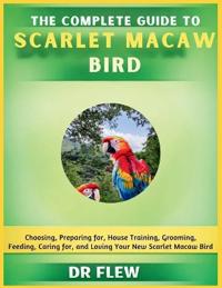 The Complete Guide to Scarlet Macaw Bird