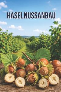 Haselnussanbau