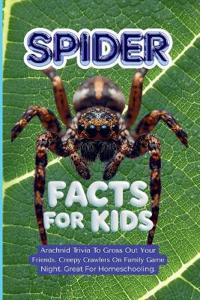 Spider Facts For Kids
