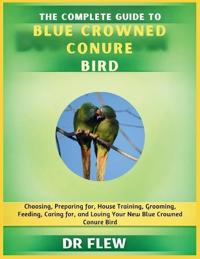 The Complete Guide to Blue Crowned Conure Bird