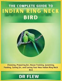 The Complete Guide to Indian Ring Neck Bird