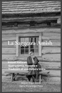 La Saggezza Amish