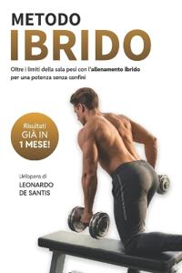 Metodo Ibrido