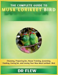 The Complete Guide to Musk Lorikeet Bird