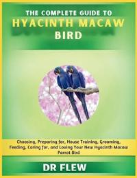 The Complete Guide to Hyacinth Macaw Bird
