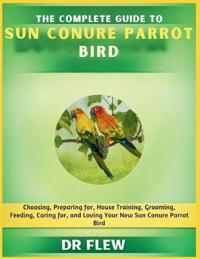 The Complete Guide to Sun Conure Bird