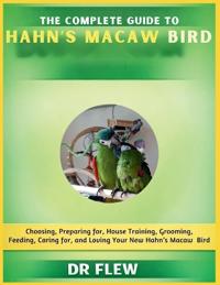 The Complete Guide to Hahn's Macaw Bird