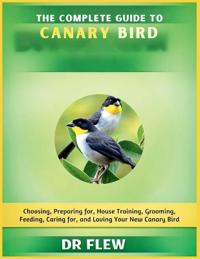 The Complete Guide to Canary Bird