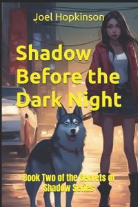 Shadow Before the Dark Night