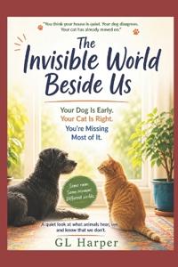 The Invisible World Beside Us