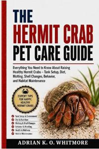 The Hermit Crab Pet Care Guide