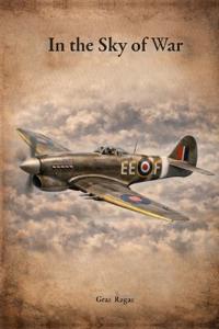 In the sky of war