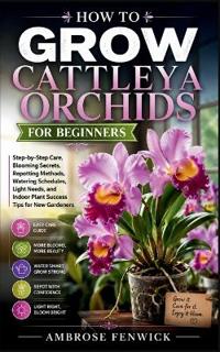 How to Grow Cattleya Orchids for Beginners