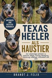 Texas Heeler ALS Haustier