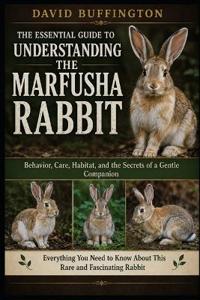 The Essential Guide to Understanding the Marfusha Rabbit