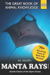 Manta Rays for Kids