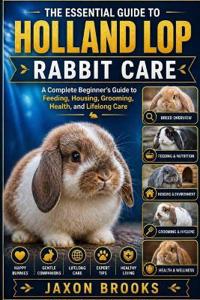 The Essential Guide to Holland Lop Rabbit Care