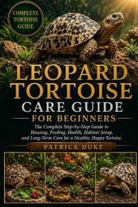 Leopard Tortoise Care Guide for Beginners