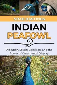 Indian Peafowl