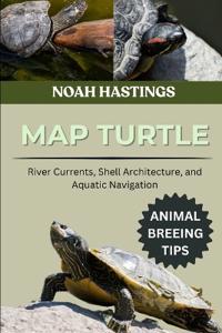 Map Turtle