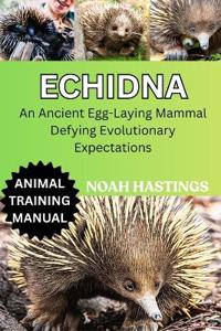 Echidna