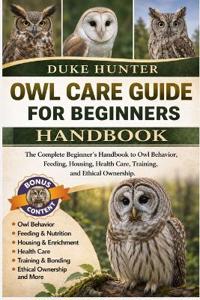 Owl Care Guide for Beginners