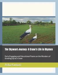 The Skyward Journey