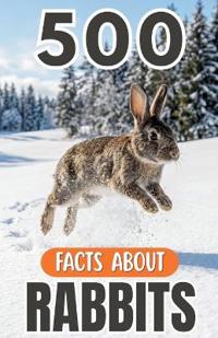 500 Fascinating Facts About Rabbits