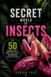 The Secret World of Insects