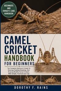 Camel Cricket Handbook for Beginners