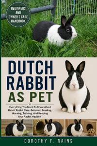 Dutch Rabbit as Pet