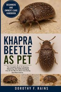 Khapra Beetle as Pet