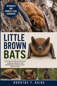 Little Brown Bats