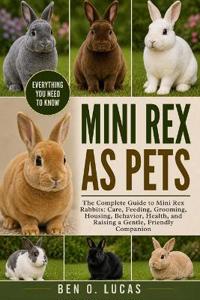 Mini Rex as Pets