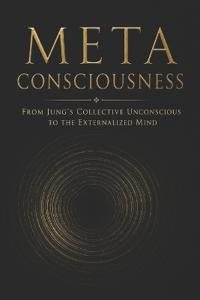 Meta Consciousness