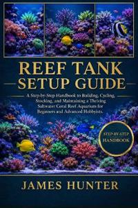 Reef Tank Setup Guide